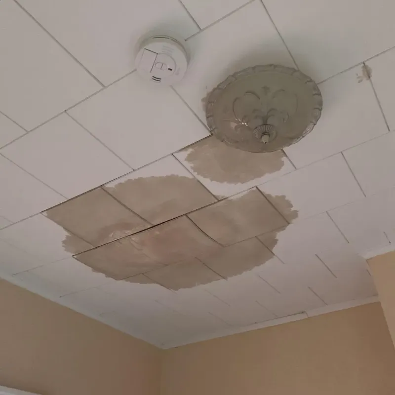 Ceiling Water Damage Repair in Summerside, OH