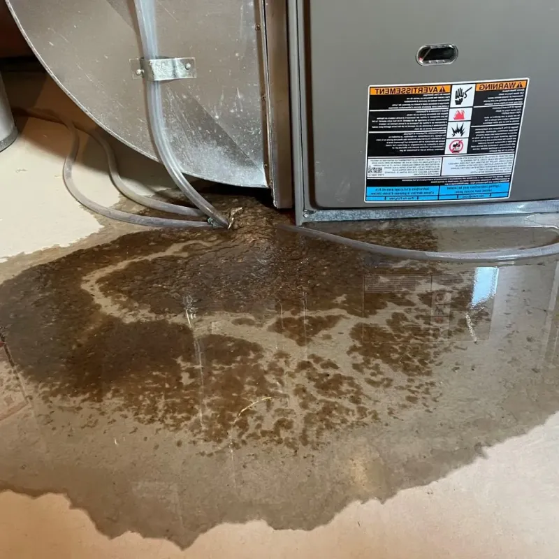 Pipe Burst and Leak Restoration in Summerside, OH