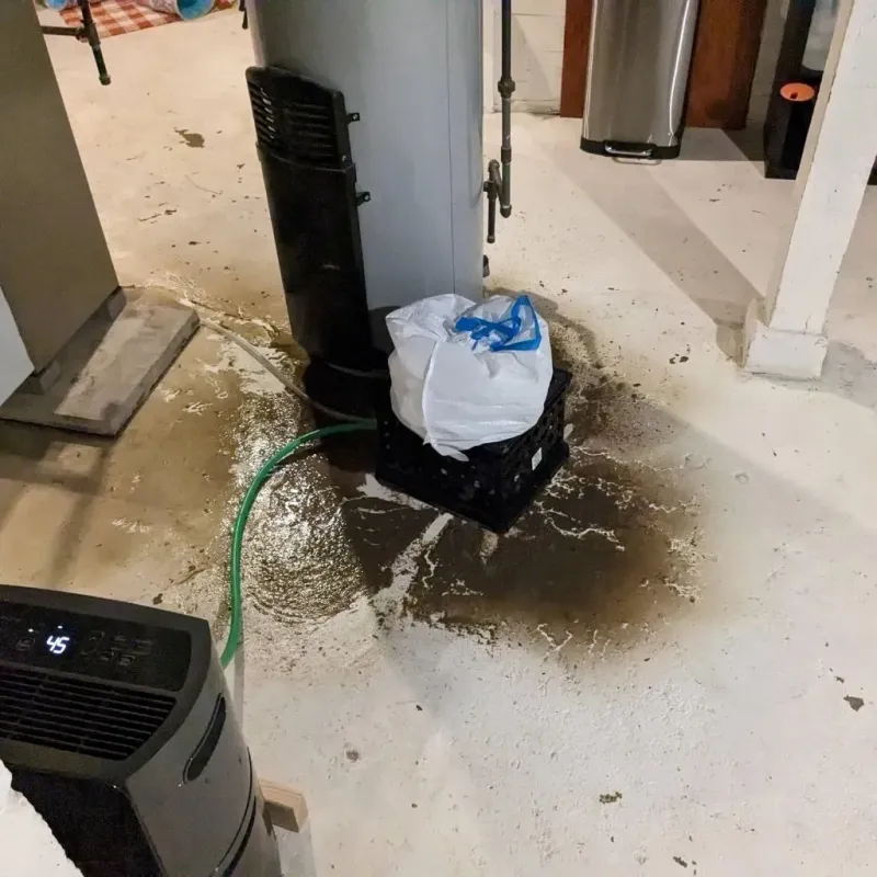 Sewage Backup Cleanup Service in Summerside, OH